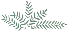 shantivani-logo